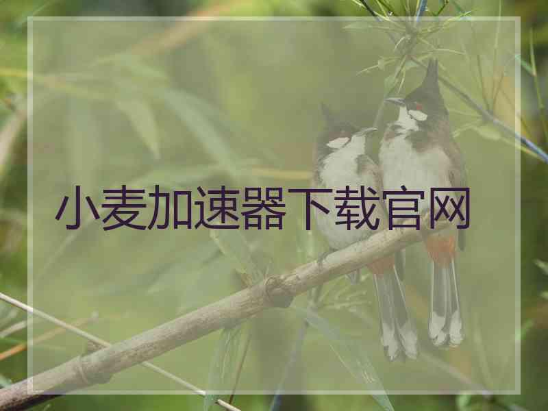 小麦加速器下载官网
