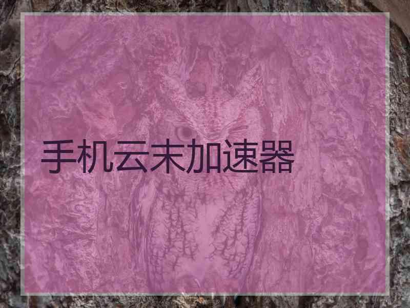 手机云末加速器