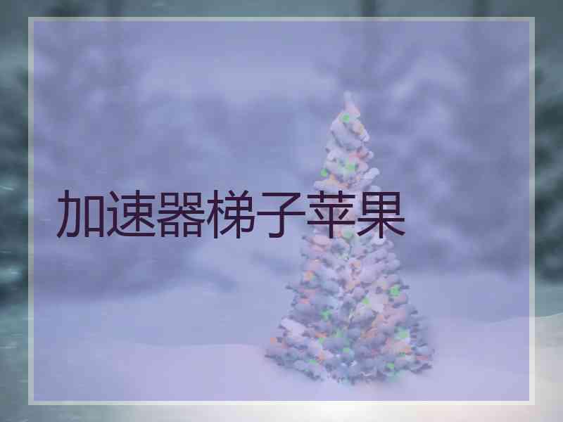 加速器梯子苹果