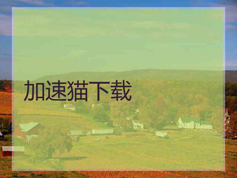 加速猫下载