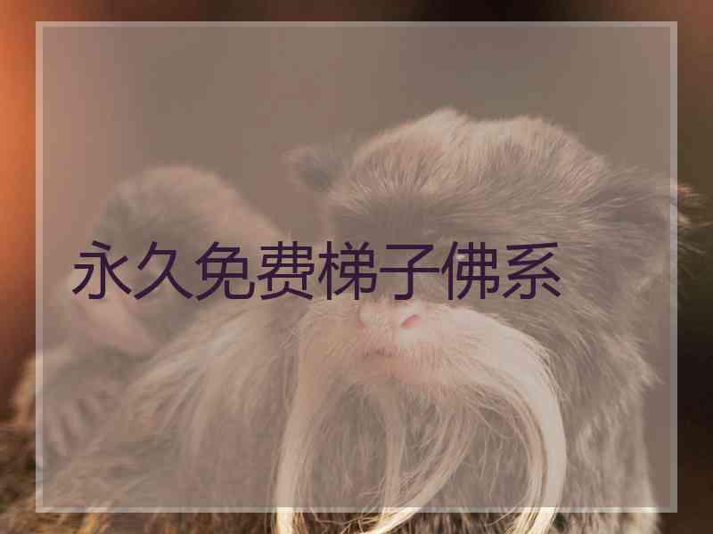 永久免费梯子佛系