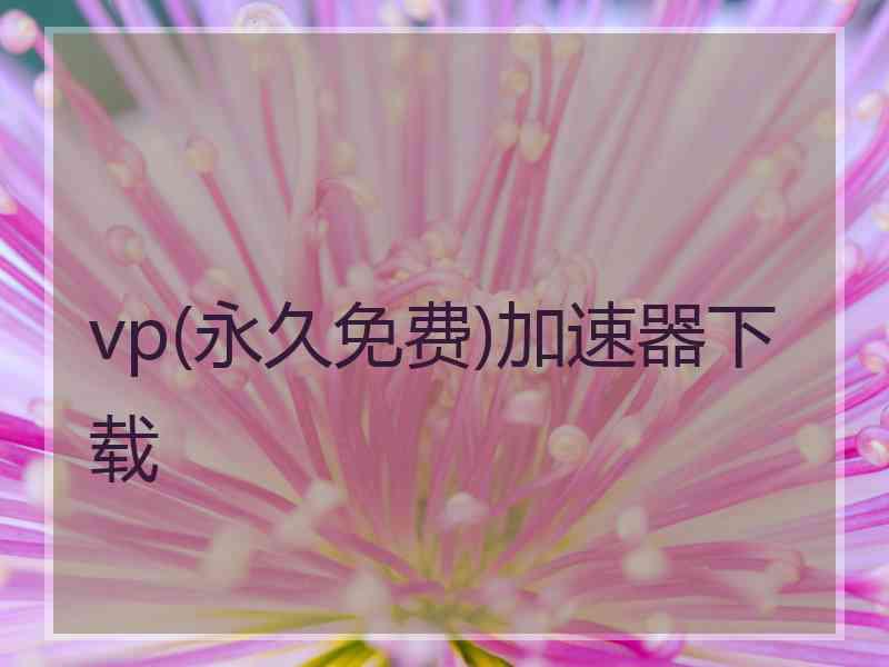 vp(永久免费)加速器下载