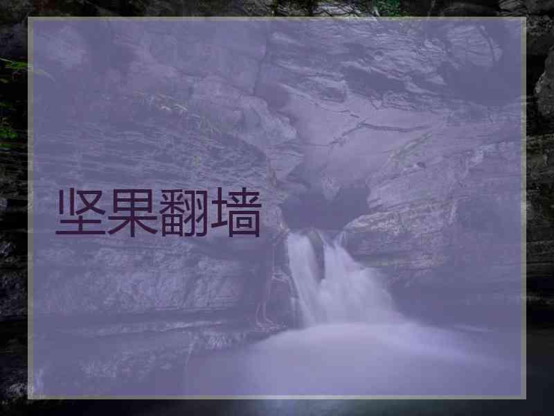 坚果翻墙