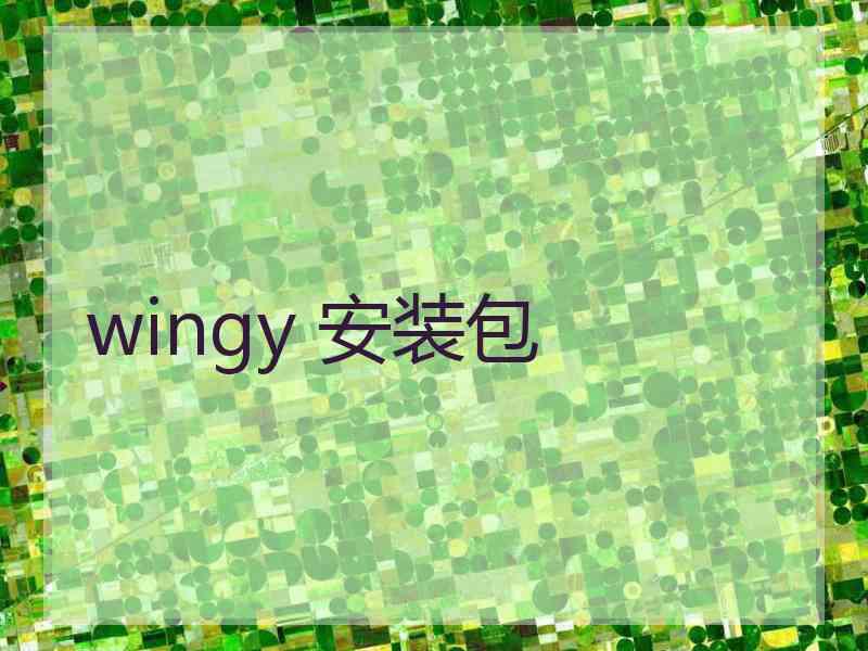 wingy 安装包
