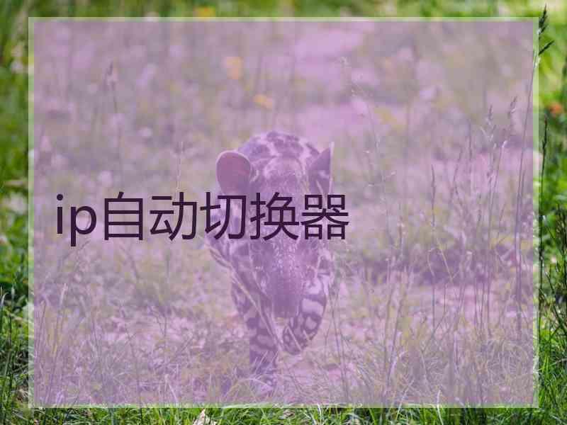 ip自动切换器