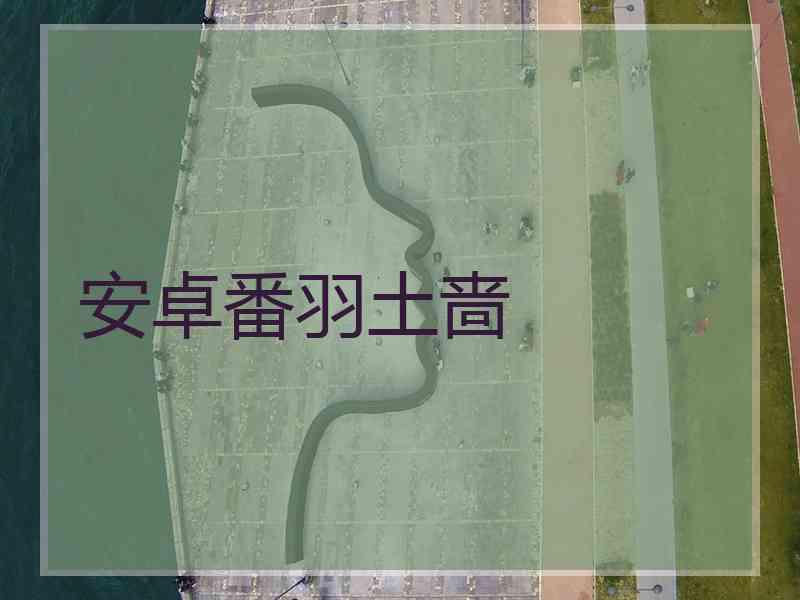 安卓番羽土啬