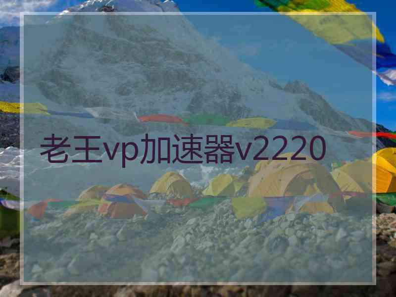老王vp加速器v2220