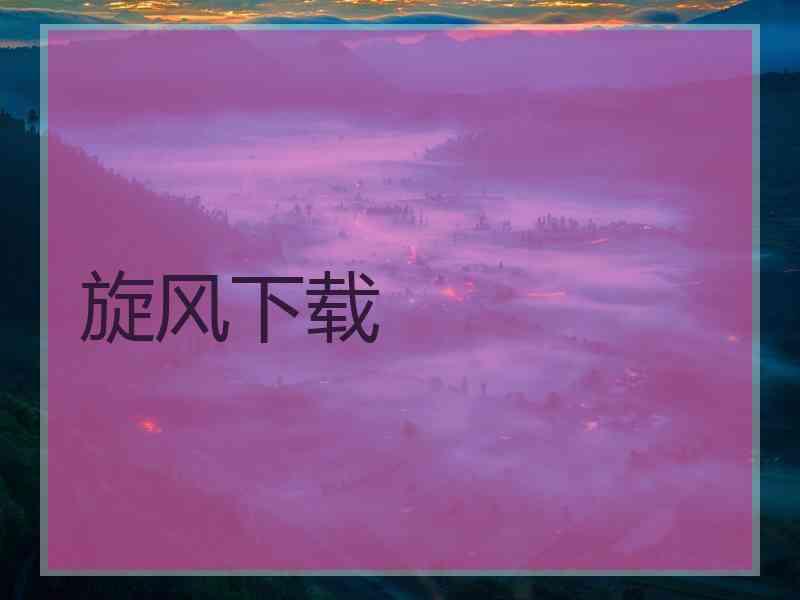 旋风下载