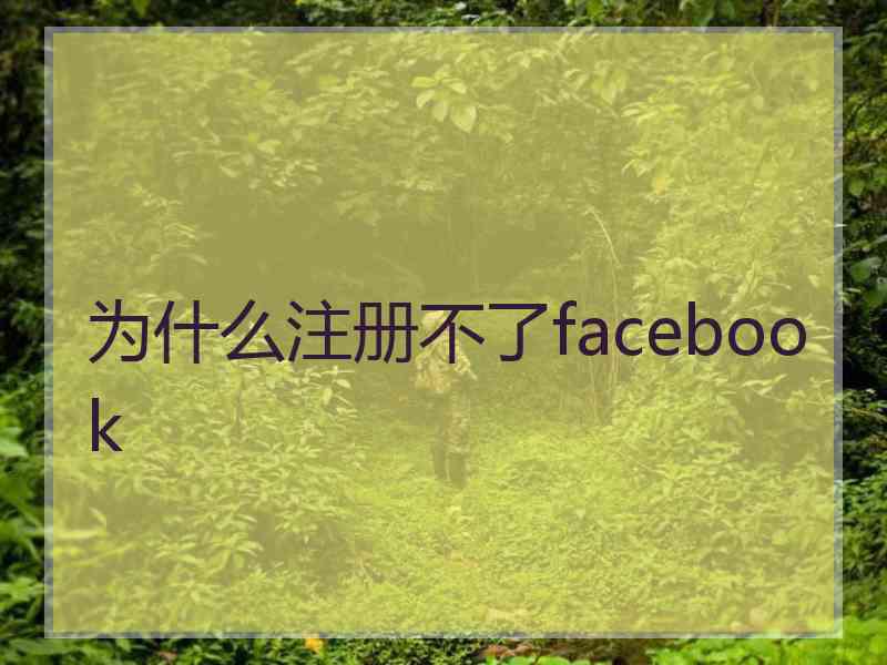 为什么注册不了facebook