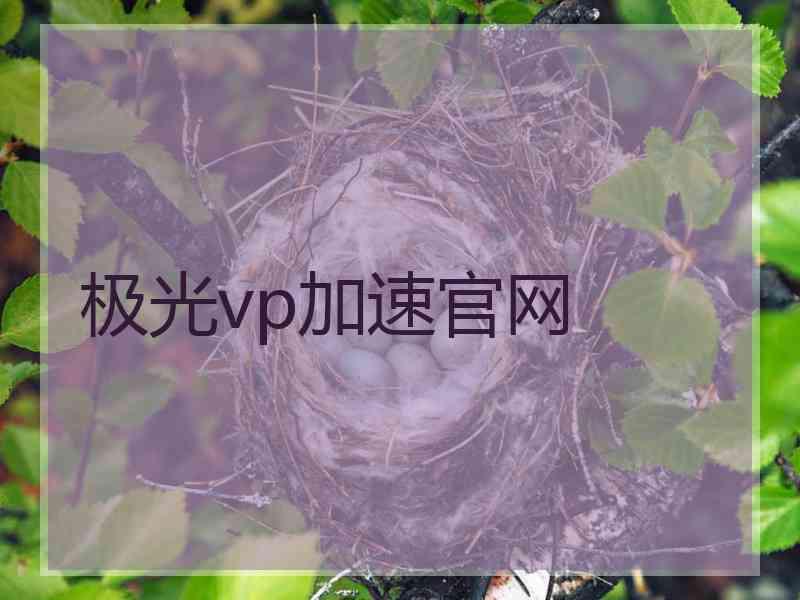 极光vp加速官网