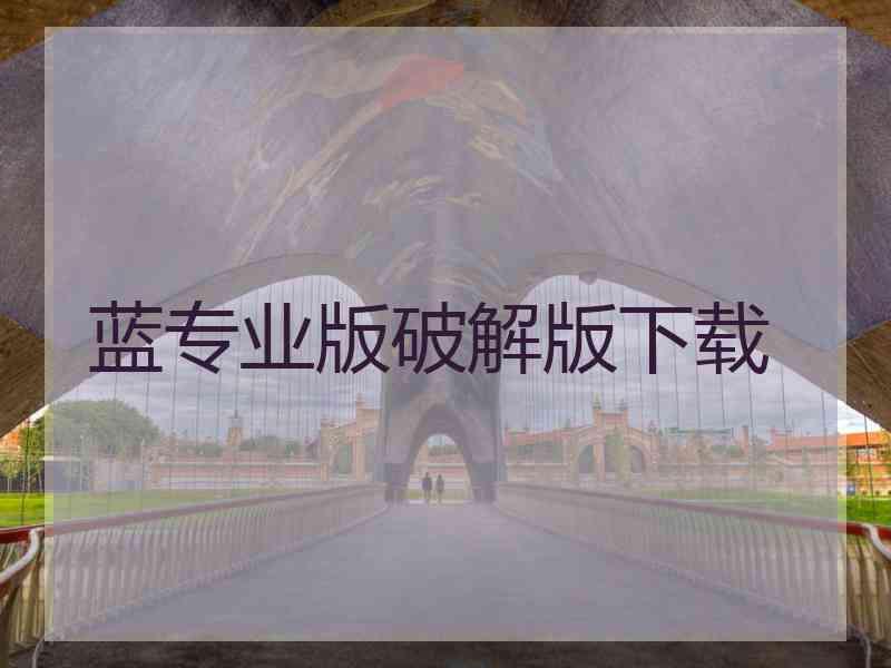 蓝专业版破解版下载