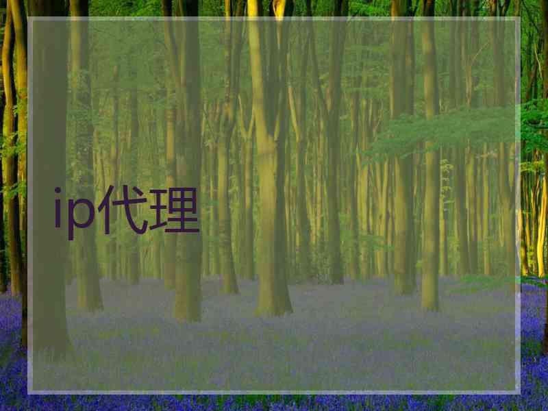 ip代理