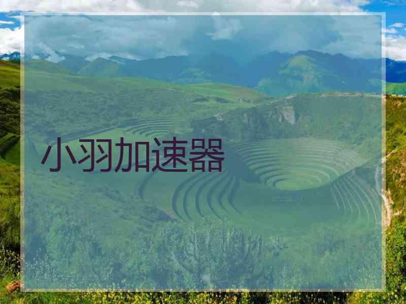 小羽加速器