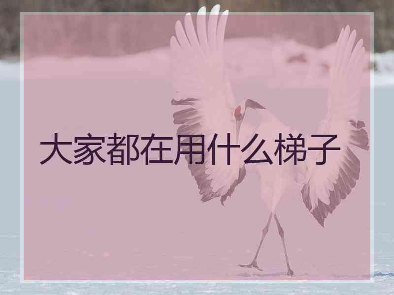 大家都在用什么梯子