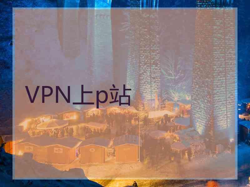 VPN上p站