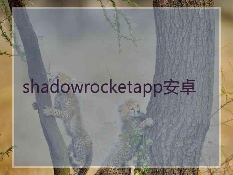 shadowrocketapp安卓