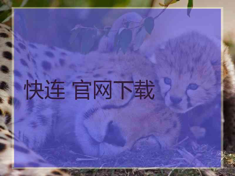 快连 官网下载