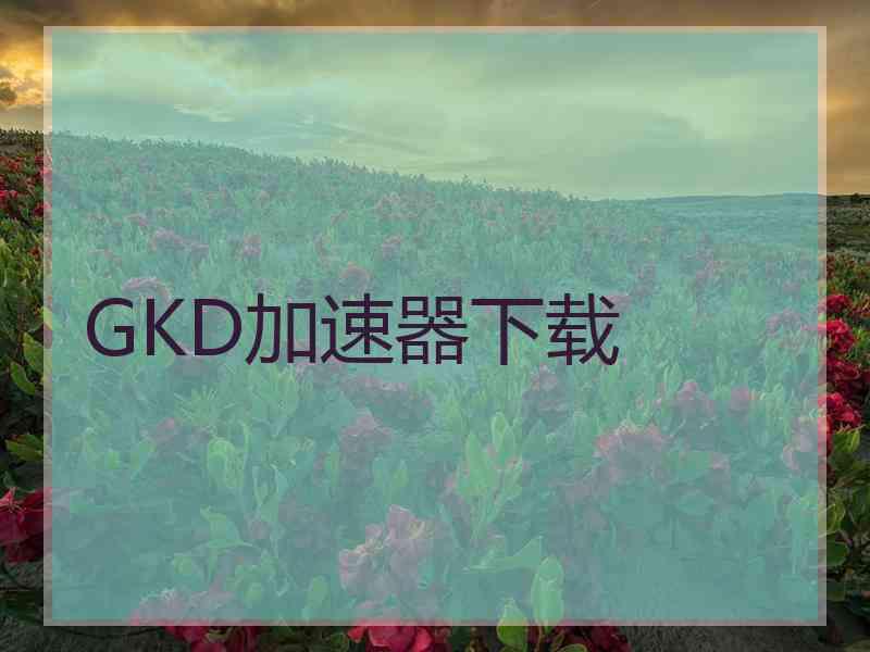GKD加速器下载