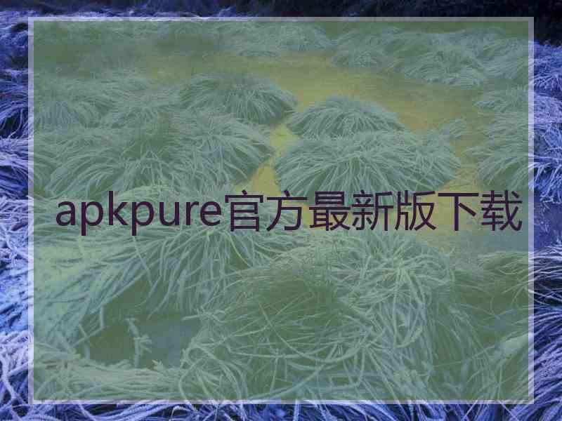 apkpure官方最新版下载