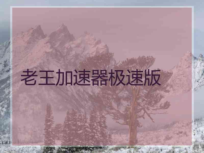 老王加速器极速版