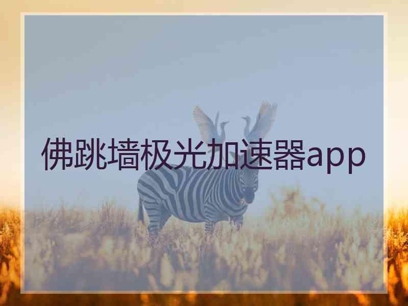 佛跳墙极光加速器app