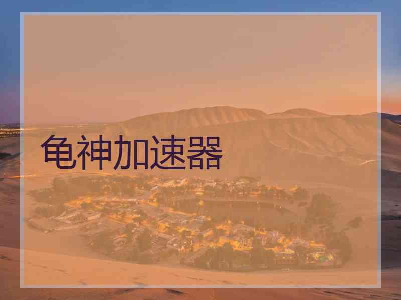 龟神加速器