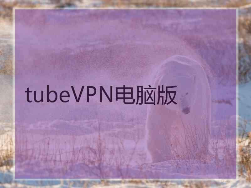 tubeVPN电脑版