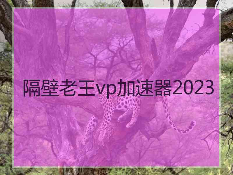 隔壁老王vp加速器2023