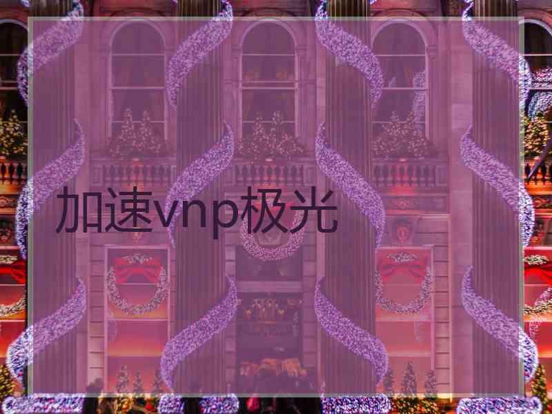 加速vnp极光