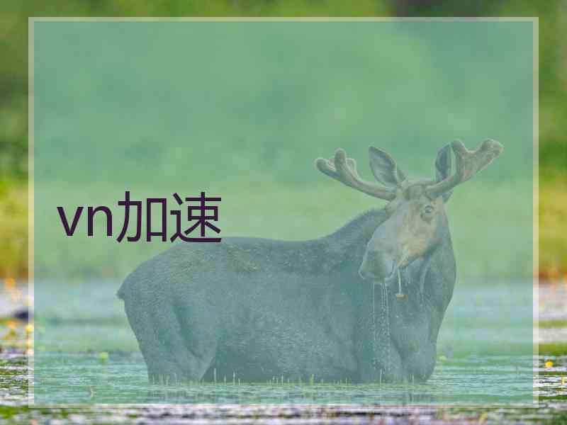 vn加速