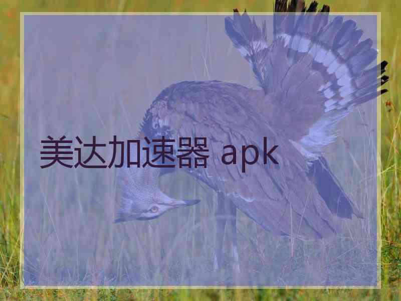 美达加速器 apk