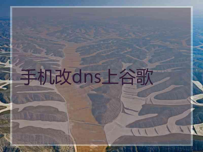 手机改dns上谷歌