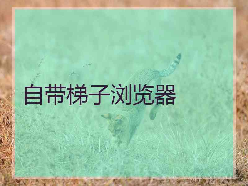 自带梯子浏览器