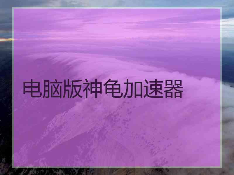 电脑版神龟加速器