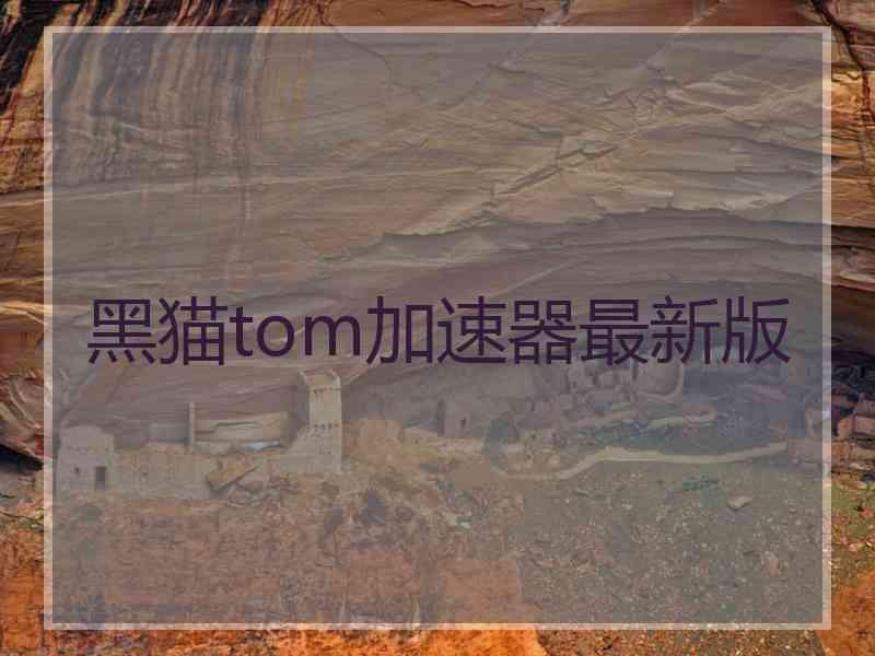 黑猫tom加速器最新版