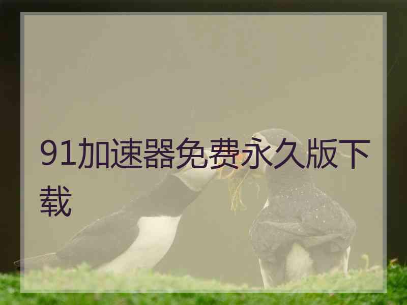 91加速器免费永久版下载