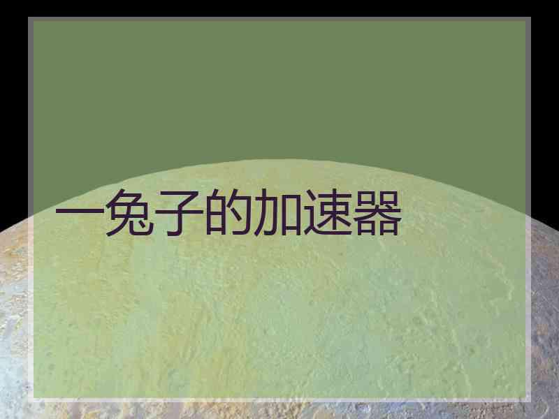 一兔子的加速器
