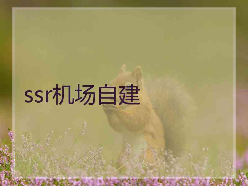 ssr机场自建