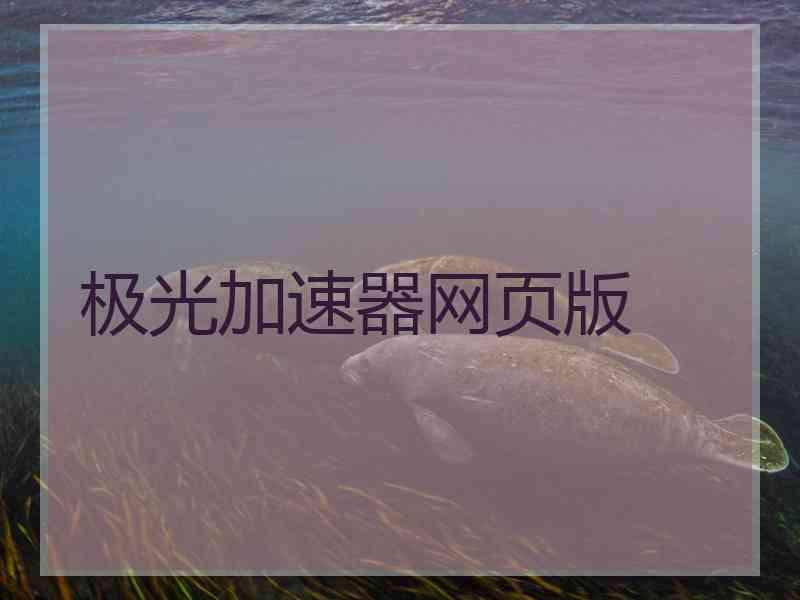 极光加速器网页版