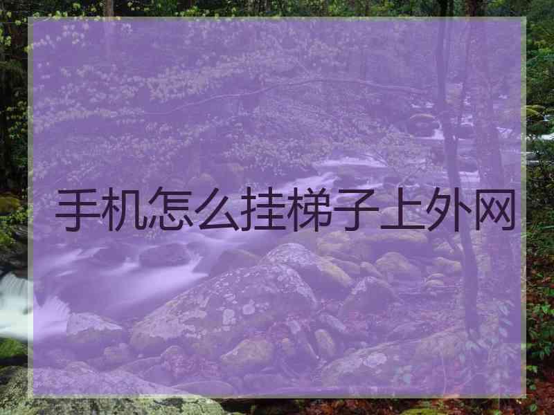 手机怎么挂梯子上外网