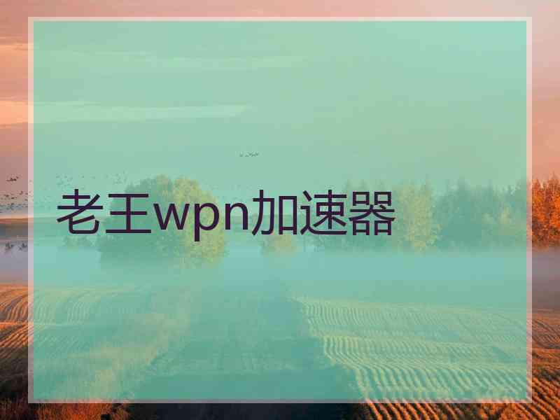 老王wpn加速器