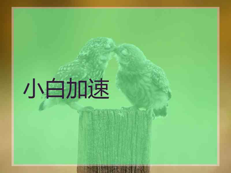 小白加速