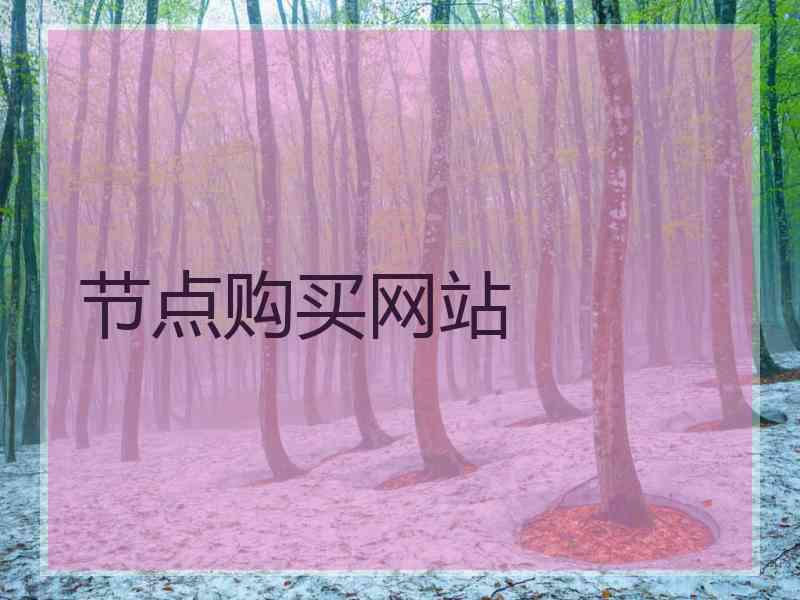 节点购买网站