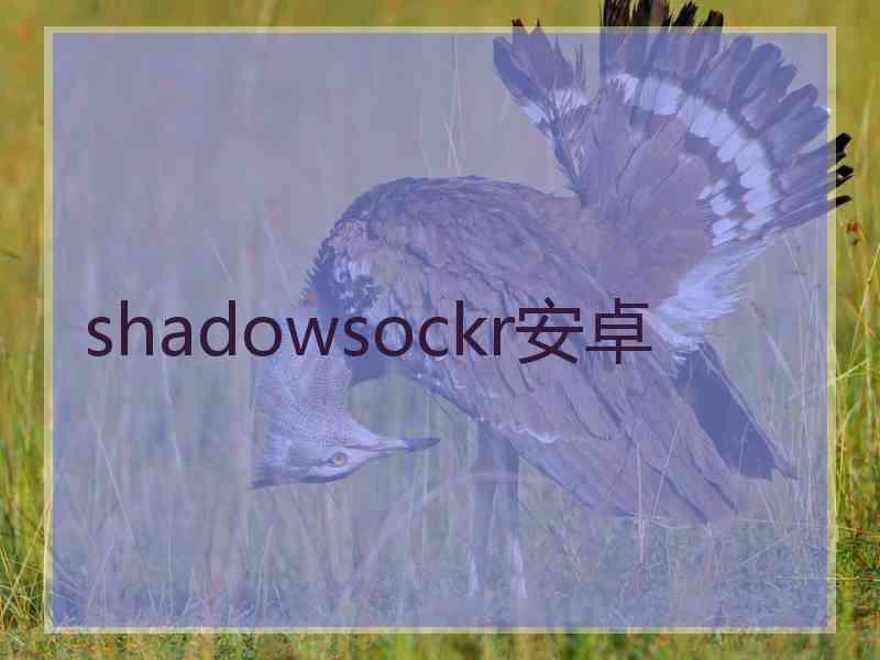 shadowsockr安卓