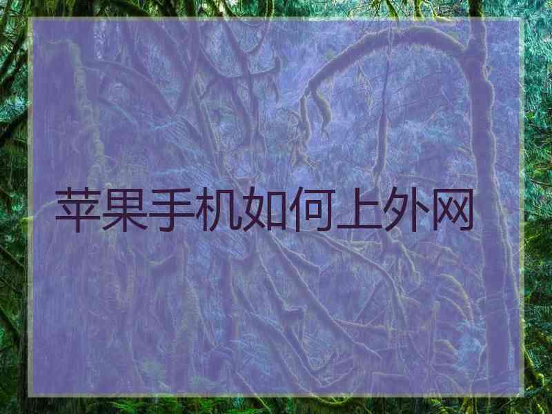苹果手机如何上外网