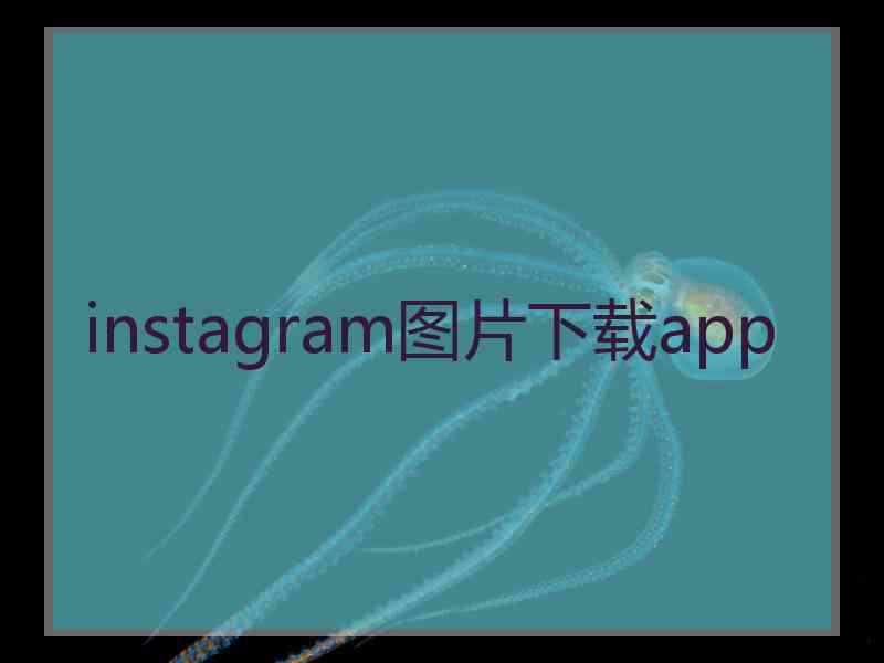 instagram图片下载app