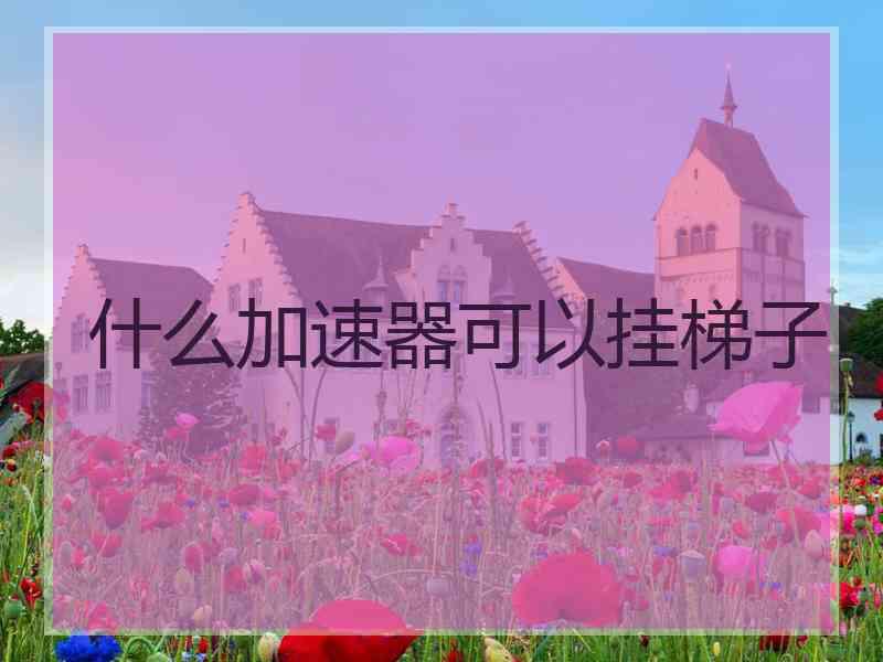 什么加速器可以挂梯子