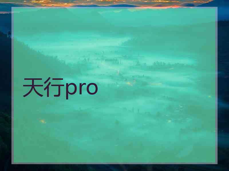 天行pro