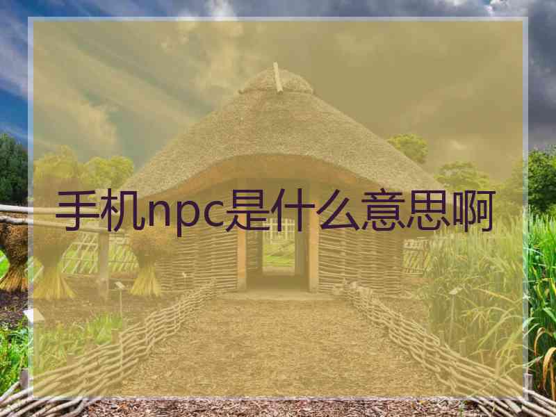 手机npc是什么意思啊