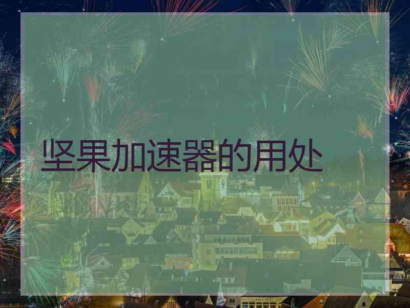 坚果加速器的用处